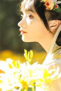 宋宁欢许君澈章节