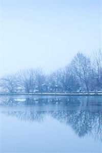 精品选集穿书后，开局我相亲极品妈宝男