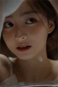 白月光与朱砂痣TXT