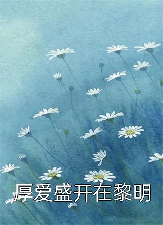 二婚玫瑰小说
