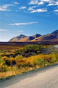 初逢青山梦长安无删减全文