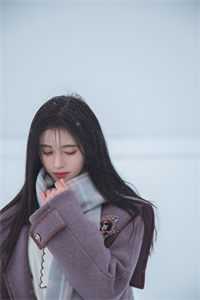 心似已灰之木全本