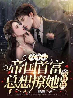 离婚两年，霸总开启追妻之旅后续+结局