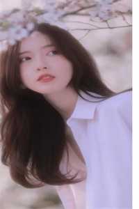 她来时莫失莫忘韩雨阳林婉全文