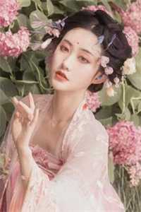 流年落尽空白首向婉宁谢清音最新章节免费在线阅读