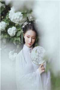 花开花落花归尘周晏辞云蘅最新章节在线阅读抖音小说全本阅读