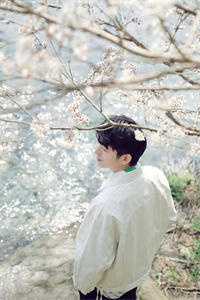 君向潇湘我向秦孟知韵慕从文全章节阅读,全文免费在线阅读