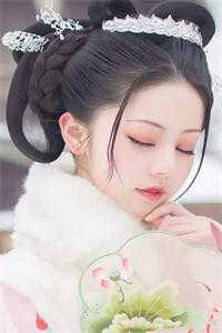 又风又雪又见月贺凌屿黎婉辞全本免费在线阅读