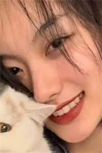 爱恨皆逝，无情不似多情苦沈傲沈修止全章节免费在线阅读完结版免费阅读