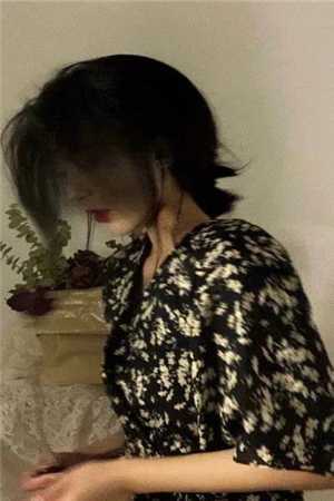 穿越：我在神雕世界当霸主郭芙杨过全本笔趣阁小说在线免费阅读无广告