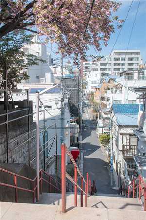 幽思燃烬忘川路叶墨谨迟少瑜抖音小说全章节阅读完结版免费阅读