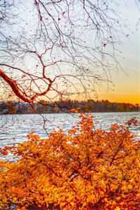 重生后，我让丈夫一家去捡垃圾魏琛宋昭全章节在线阅读全本在线阅读