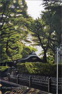 云本无心风起意林妍傅璟最新章节免费在线阅读