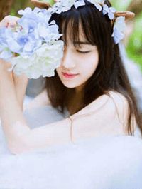黑莲花驾到，不想谈情只想晋升宁司寒林妩小说免费在线阅读无删减正版