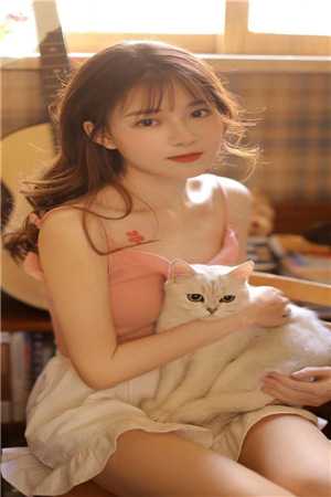 谢梵声与秦见鹿的小说：结局+番外秦见鹿秦临渊谢梵声完结版免费阅读全本在线