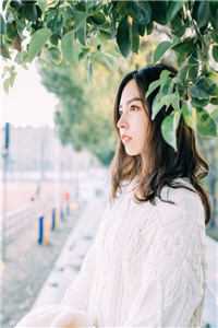 从前不待春风慢许云毅云毅最新章节在线阅读小说免费阅读