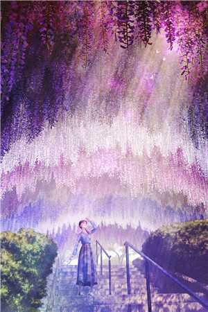 未婚新娘C400林霜陆宴礼免费小说在线阅读最新章节