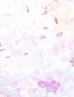 妻子离家三年，我另外成家了叶轻眉宋景行笔趣阁小说在线免费阅读无广告弹窗