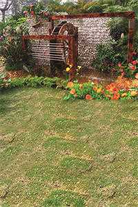 夫人她凭空消失后，傅总后悔了傅衡孟枝意最新章节在线阅读全本在线阅读