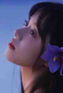 穿成农家子，带领全家劈风斩浪张平安金宝最新章节阅读全文免费阅读