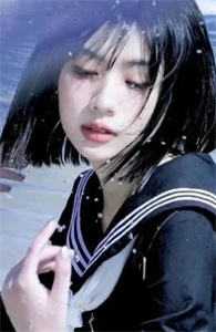 只是当时已惘然黎肃莫凝全章节免费在线阅读完结版免费阅读
