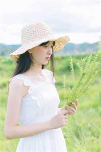 岁岁年年不逢春傅沉砚沈昭宜全章节在线阅读全本在线阅读