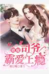妻子离家三年，我另外成家了C500叶轻眉轻眉完结版全本小说在线阅读