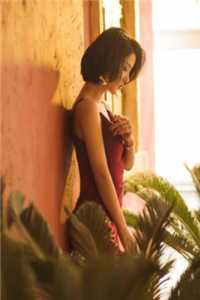 深情为祭，爱成虚影：谢芸芸谢凡锃最新章节在线阅读抖音小说全本阅读