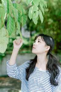 花飞花谢碾入尘宋昭意沈寂完结版阅读最新章节在线阅读