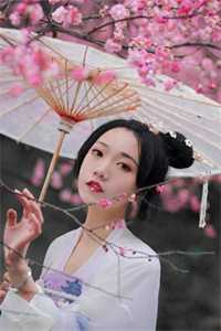 渣妻情窦初开？我放她追求真爱顾行舟江揽月免费阅读完整版在线
