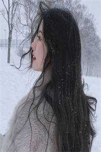 月光洒下离人巷谢诚景洛婉雪最新小说免费阅读
