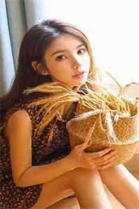 唯有相思无尽处夏之遥傅云霆全章节在线阅读全本在线阅读
