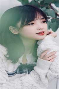 东莞之行：女神挣钱背后的真相曹阳李燕全本免费在线阅读完整版txt在线阅读
