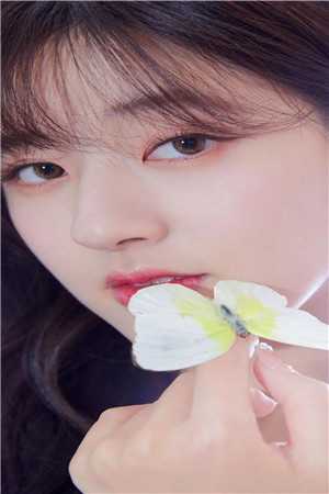 桃花落尽，与君长诀裴辛言肖离完整版免费阅读全章节在线